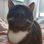 Profile Picture of Wordsmith. Idiot. Cake Eater. (@heterick) on Instagram