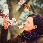 Profile Picture of Katja Ullrich (@katja_ullrich_photography) on Instagram