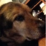 Profile Picture of Brenton W Bailey (@brentonw.bailey) on Instagram