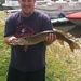 Profile Picture of Dustin De Vaughn (@dustindevaughn) on Pinterest