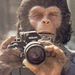 Profile Picture of Aaron REgan (@aaronreganvegan) on Pinterest