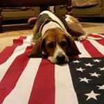 Profile Picture of Keith Hurtado (@keithhurtado) on Instagram