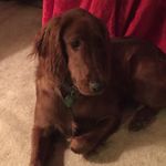 Profile Picture of Earl Pearson (@pearson_earl) on Instagram