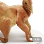 Profile Picture of adrian_corona_extraa (@adrian_corona_extraa) on Instagram