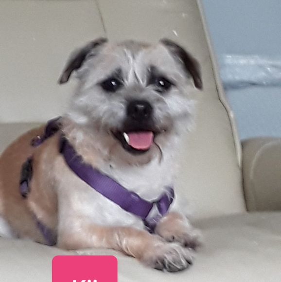 Profile Picture of Sandy Newton (@kalats54) on Poshmark