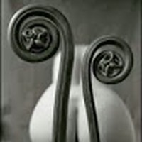 Profile Picture of Filippo Ferrante (@filippo-ferrante-3) on Quora
