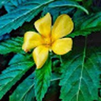 Esther Meress - Quora Profile Picture of Esther Meress (@esther-meress) on Quora