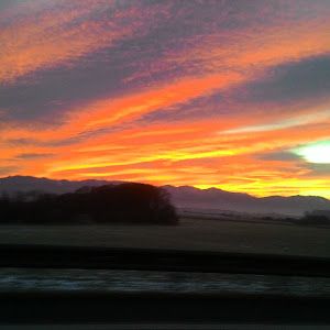 Profile Picture of davidsterbak (@davidsterbak) on Tiktok