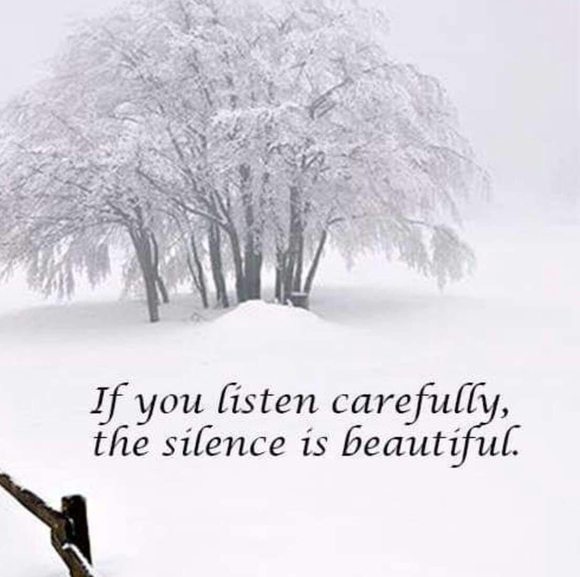 Bobbi Guckert - Poshmark Profile Picture of Bobbi Guckert (@bobbiguckert) on Poshmark