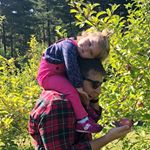 Profile Picture of Joe Parise (@jparise56) on Instagram