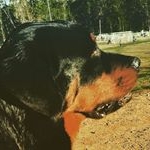 Profile Picture of kyle thornton (@kylethornton2006) on Instagram