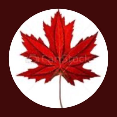 Profile Picture of Jeff_4 (@jeff_stell) on Twitter