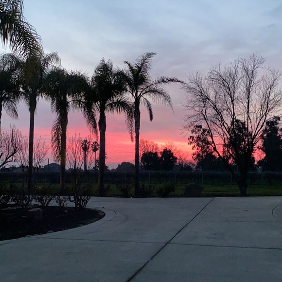 Profile Picture of Taylor Scherbenske (@taylor_scherb) on Poshmark