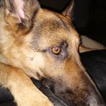 Profile Picture of Colin Egan (@egan.colin) on Instagram