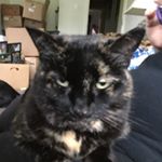 Harmony Jensen - Instagram Profile Picture of Harmony Jensen (@harmonyj2007) on Instagram