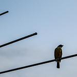 Jéssica  Lima - Flickr Profile Picture of Jéssica  Lima (@jéssica slima) on Flickr