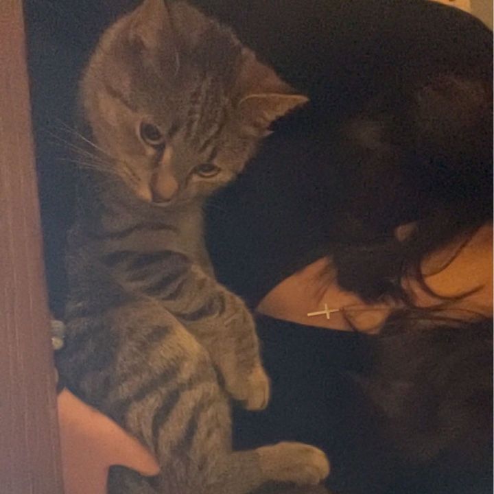 Profile Picture of 𝐀𝐦𝐲 (@amysoderstrom_) on Tiktok