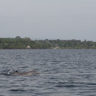 Stefan Kirchmann - Facebook Profile Picture of Stefan Kirchmann (@stefan.kirchmann.3) on Facebook