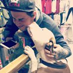 Profile Picture of Michael Celis (@bcelism) on Instagram