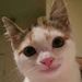 Profile Picture of Francisco (@efrenlanderos52) on Pinterest