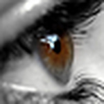 Profile Picture of Catherine Morel (@cath01_box) on Flickr