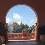 Profile Picture of Susan Parris (@susan.parris) on Instagram
