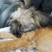 Profile Picture of Joyce Weddell (@joyce.weddell.5) on Facebook