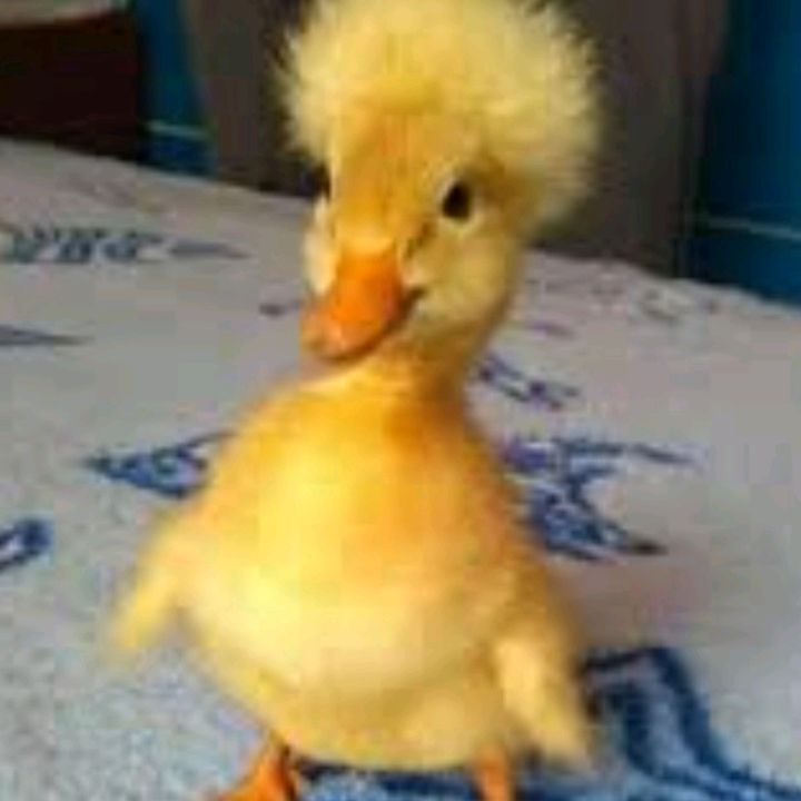 Profile Picture of Timothy Loder (@t1m0thy_94) on Tiktok