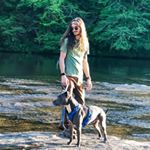 Profile Picture of Erik Nylander (@erikthenylander) on Instagram