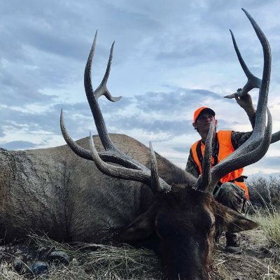 Profile Picture of Brian Constable (@BrianConstabl17) on Twitter