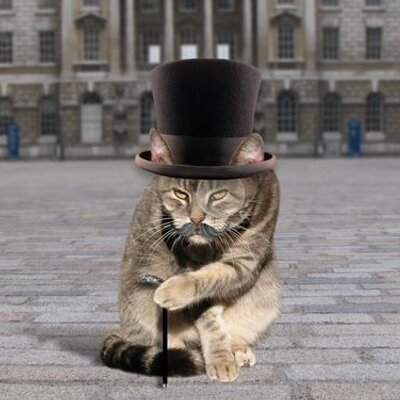 Profile Picture of Joel Hodges (@Sambarambo) on Twitter