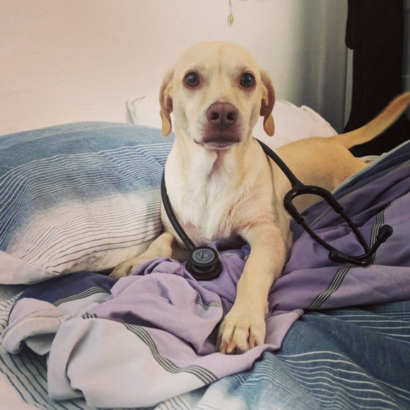 Profile Picture of Chris Laurence (@claurence7) on Poshmark