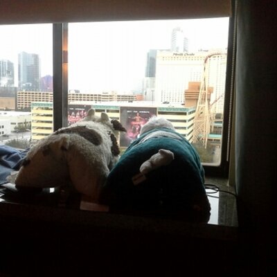 Profile Picture of Randy Lockhart (@Randylock) on Twitter