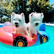 Profile Picture of James Kats (@jameskats9864) on Youtube