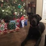 Profile Picture of Brad Arnold (@bradarnold9897) on Instagram