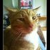 Profile Picture of Beth Ludlum (@Beth-Ludlum) on Facebook