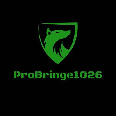 Profile Picture of Probringe (@JacobMarcoux6) on Twitter