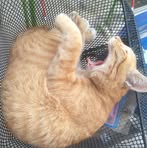 Profile Picture of Marvin Lessing (@Marvin-Lessing) on Facebook