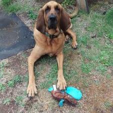 Profile Picture of Julie Leahy (@jaleahywho) on Twitter