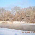 Profile Picture of Simmie (@simmiefremlin) on Instagram