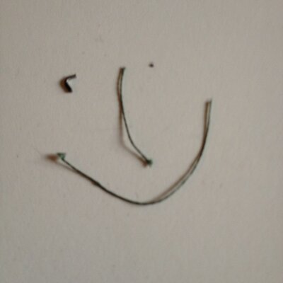 Profile Picture of Mark Rodrick (@marksrodrick) on Twitter