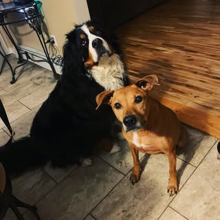 Profile Picture of Cassandra Reilly Carruth (@ccarruth09) on Instagram