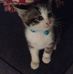Profile Picture of Barbara Jagger (@barbara.jagger.581) on Facebook