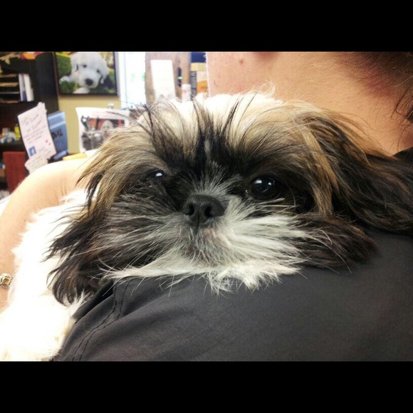 Profile Picture of Kathy Gilday (@shailey2415) on Poshmark