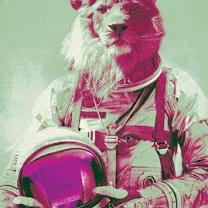 Profile Picture of Seth Berglund (@seth_berglund) on Twitter