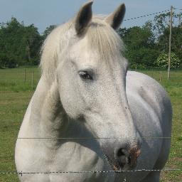 Profile Picture of David Perrins (@stabilobass) on Twitter