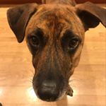 Profile Picture of Paul Bogaards (@paulbogaards) on Instagram