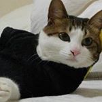 Profile Picture of 김준성 (@scheibe98) on Instagram