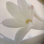 Profile Picture of Theo Mitchell (@theomitchell51) on Instagram