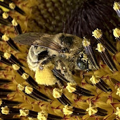 Profile Picture of Dylan Byrnes (@dylanbyrnes7255) on Youtube